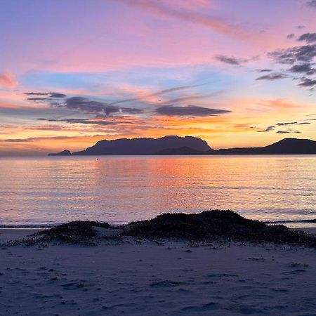Rosa Dei Venti - Casa Maestrale - Sardegna - Iun R2217 Villa Olbia Kültér fotó