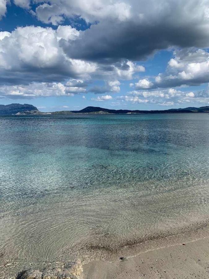 Rosa Dei Venti - Casa Maestrale - Sardegna - Iun R2217 Villa Olbia Kültér fotó