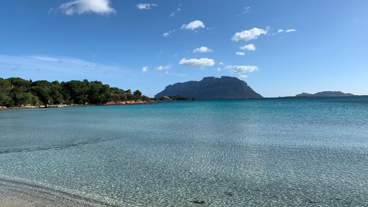 Rosa Dei Venti - Casa Maestrale - Sardegna - Iun R2217 Villa Olbia Kültér fotó